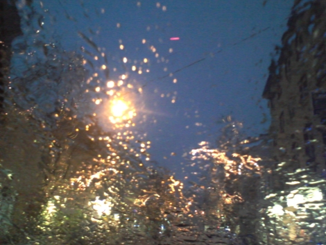 20110417203721-20101129abog.jpg