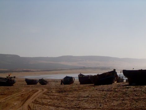 20120329195947-dsc0251520070101.jpg