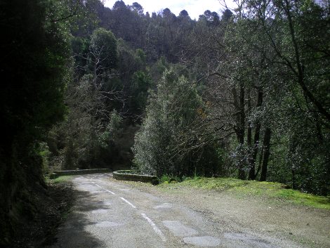 20120416183541-zirubia20120408.jpg