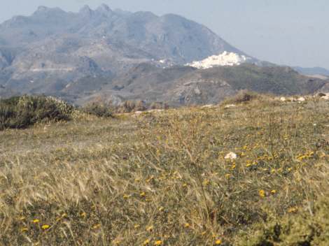 Moj&aacute;car (marzo 1973)