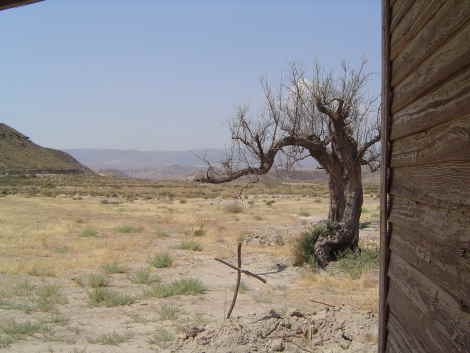 Vaqueros en Tabernas (agosto 2006)