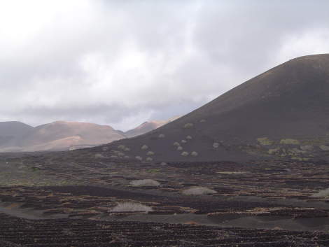 La Geria (febrero 2004)