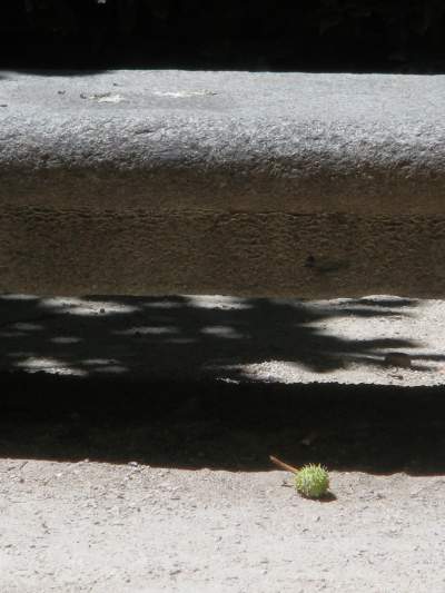 Retiro (julio 2010)
