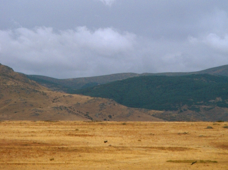 Campos de Castilla (septiembre 2012)