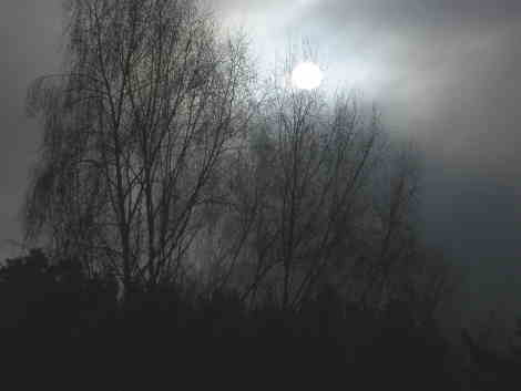 Ocaso (16 enero 2017)